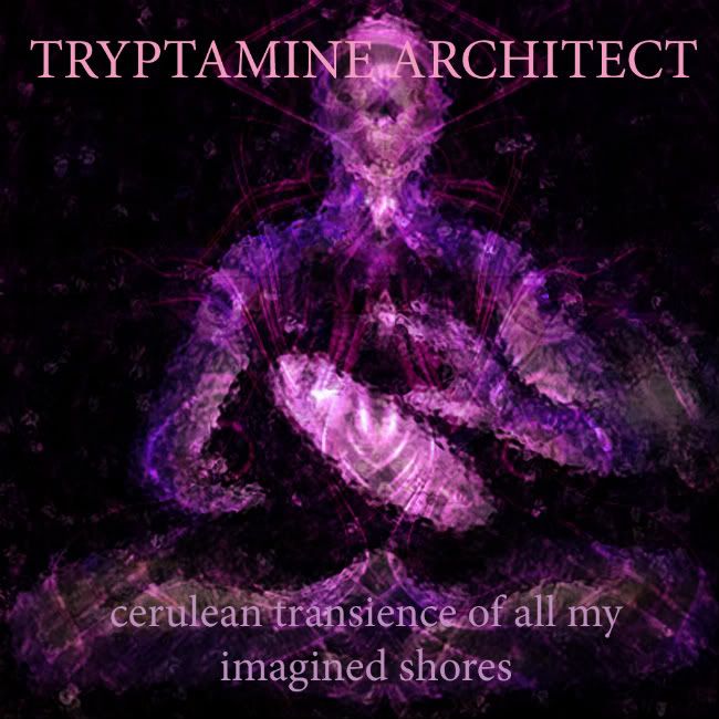 [Image: TryptamineArchitectCOVERART-1.jpg]