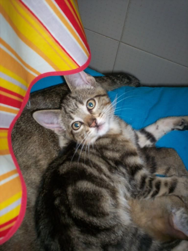 Imagem