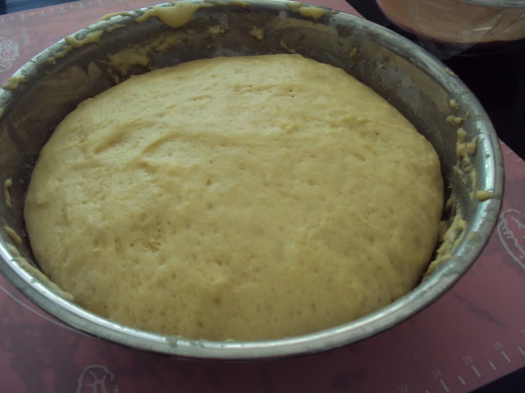 Dough has completely proofed