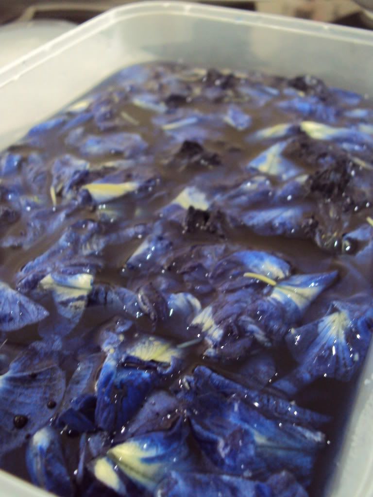 Pulut Tai Tai
