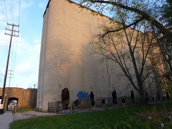 P1000495.jpg