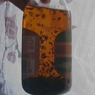 aceite de hierbas casero