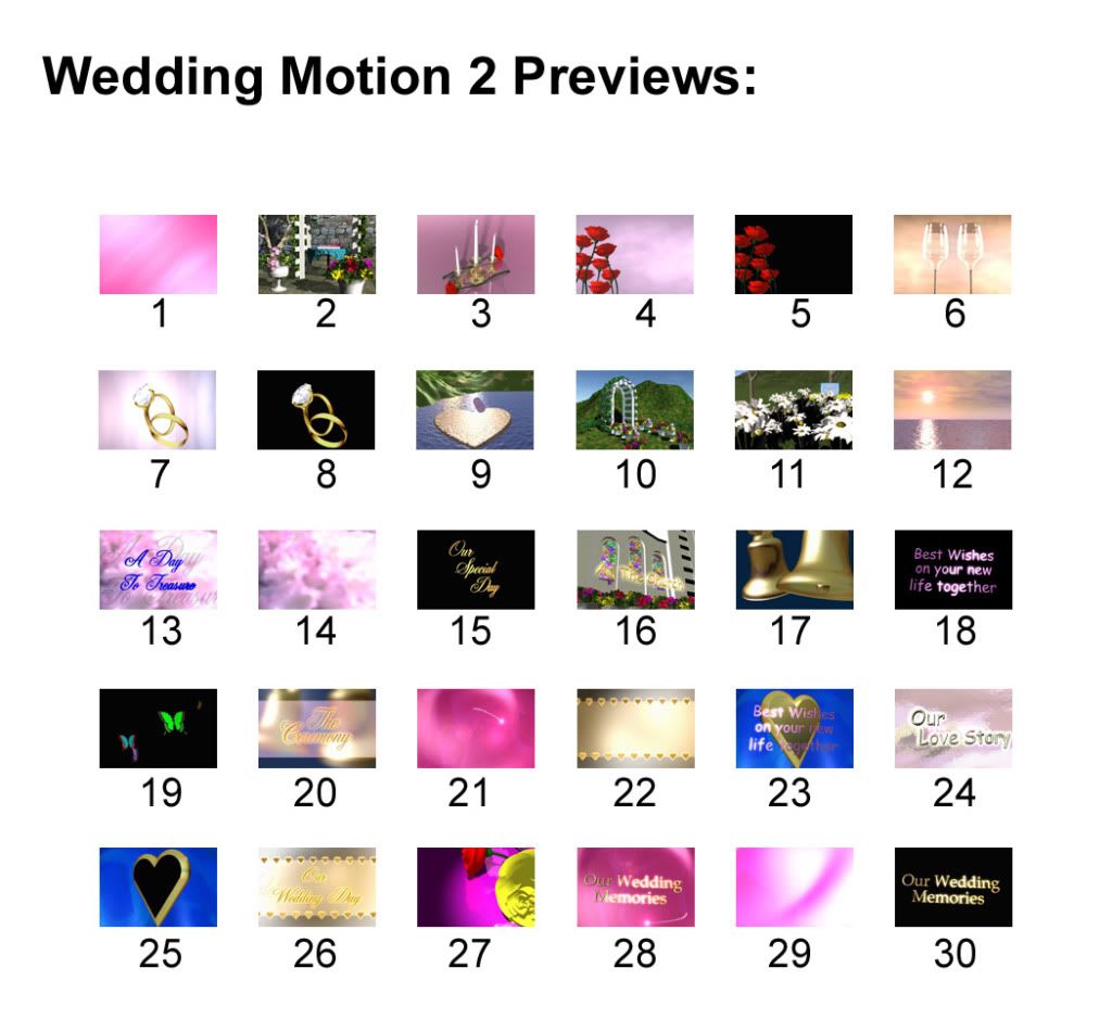 ActionBacks Wedding Motion 2