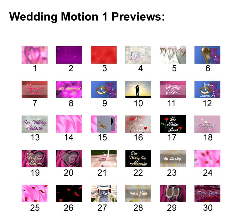 ActionBacks Wedding Motion