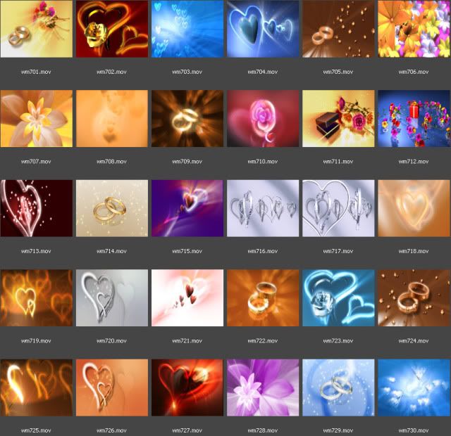 phim nền đám cưới