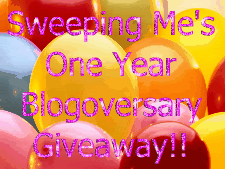 Sweeping Me’s One Year Blogoversary!