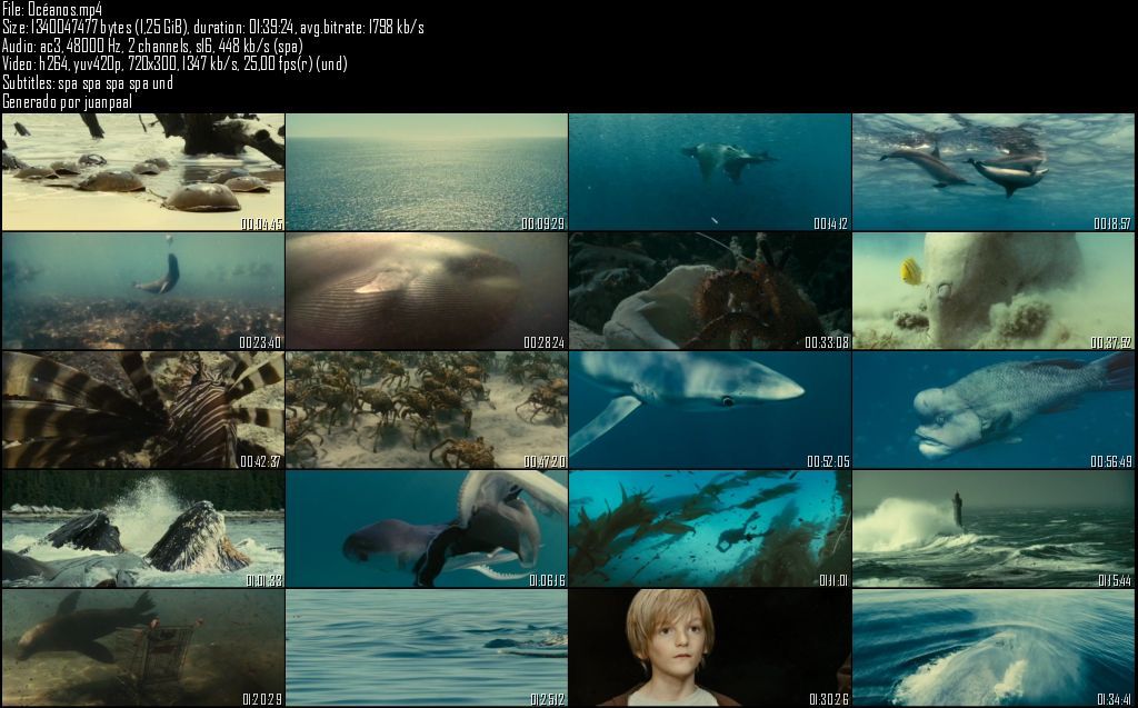 Oceacuteanos - Océanos (2009) [DVDRip] [AC3 5.1 ES] [MP4] [VH]