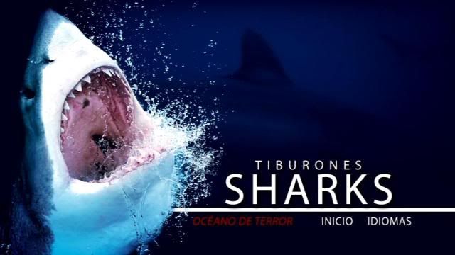 PDVD 000 41 - Sharks Tiburones [Discovery Channel] (2010) [2 DVD5]