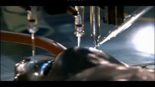 PDVD 002 45 - Sharks Tiburones [Discovery Channel] (2010) [2 DVD5]
