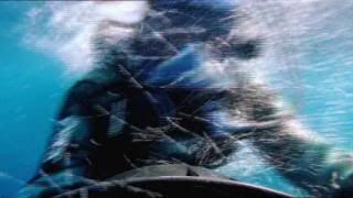 PDVD 009 42 - Sharks Tiburones [Discovery Channel] (2010) [2 DVD5]