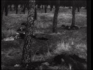 PDVD 013 11 - La Guerra Civil en Andalucía (2006) [3 DVD9 + 1 DVD5]