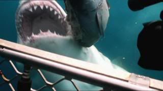 PDVD 015 13 - Sharks Tiburones [Discovery Channel] (2010) [2 DVD5]