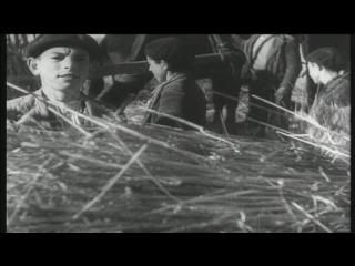 PDVD 016 - La memoria recobrada [rtve] (2006) [1 DVD5 + 1 DVD9]