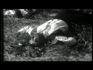 PDVD 017 - La memoria recobrada [rtve] (2006) [1 DVD5 + 1 DVD9]