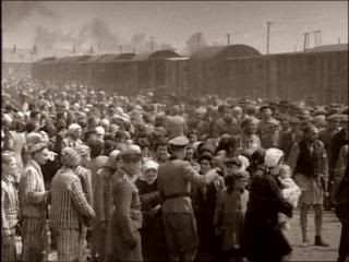 PDVD 020 7 - Auschwitz, los nazis y la solucion final [BBC] (2004) [4 DVD5]