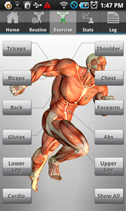 Exercise Menu