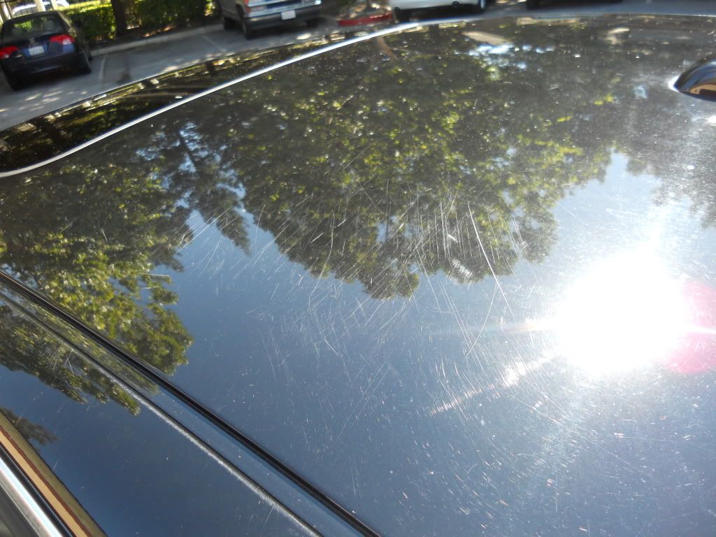 DSCN1349.jpg
