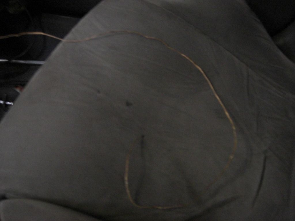 CIMG9944.jpg