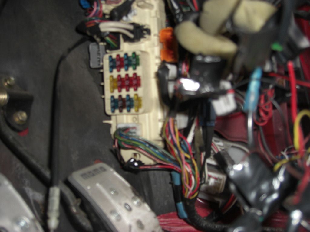 CIMG9960.jpg