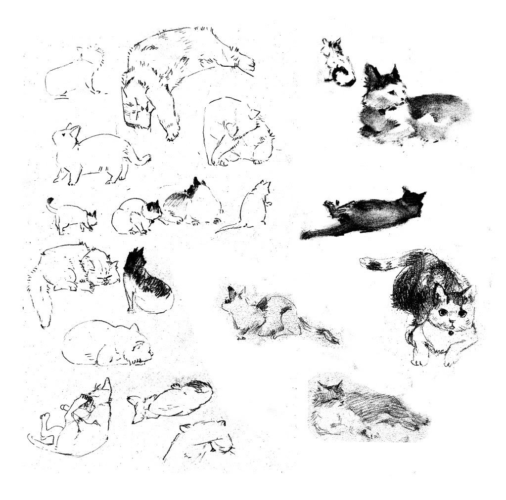 Cute Cat Drawings