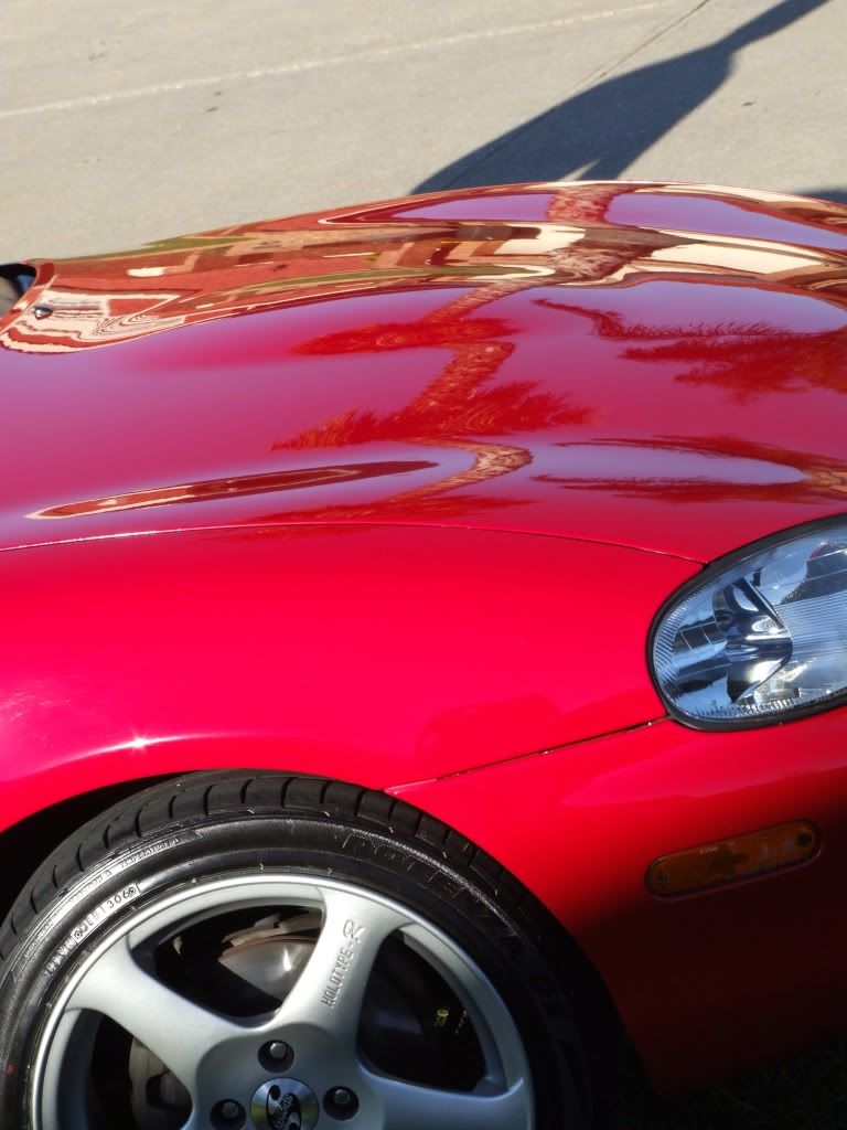 DSCF2293.jpg
