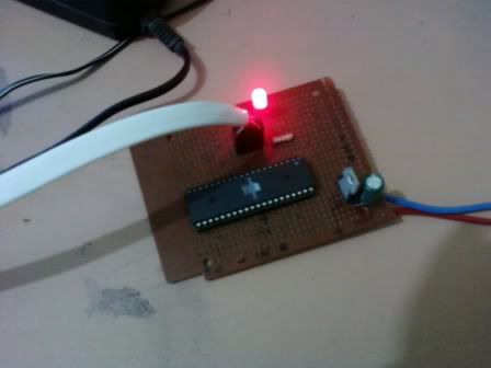 [Image: Photo0024-1.jpg]