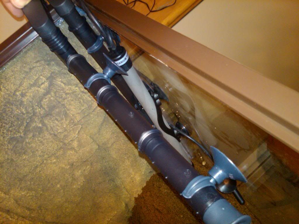 CichlidForum • Canister filter intake and spray bar placement