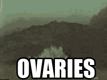 Ovaries exploding photo Tumblr-ovaries.gif