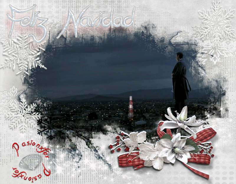 PASIONXFER photo Banner-Gracias-2013--Pasionxfer_zps251fb26a.gif