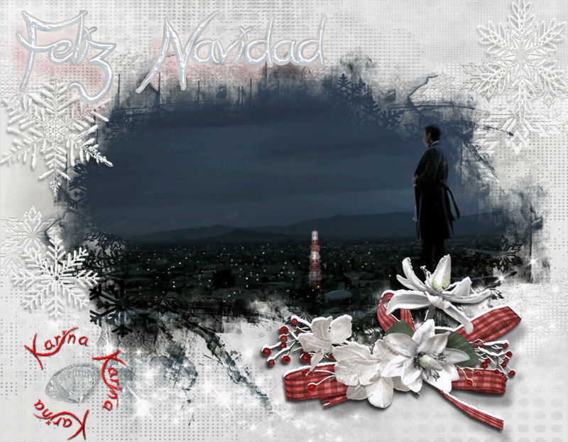  photo Banner-Gracias-2013-Karina_zps0dd4e90e.gif