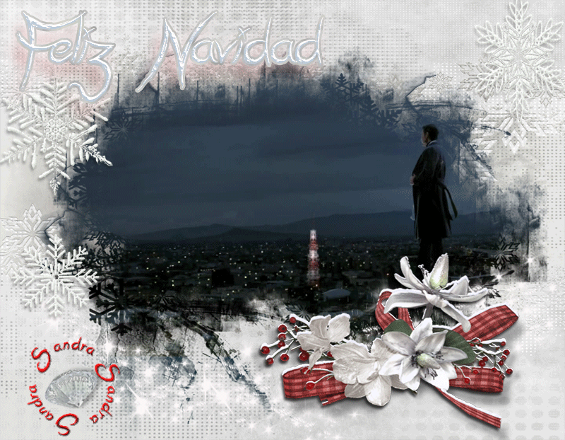 SANDRA photo Banner-Gracias-2013-Sandra_zpsd3cdddae.gif