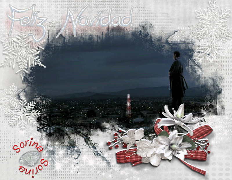  photo Banner-Gracias-2013-Sorina_zps0e1775f5.gif