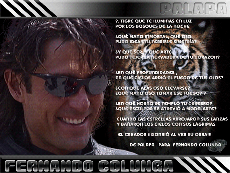  photo El-tigre-2_zps33d8e6b1.gif