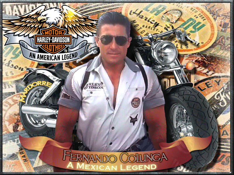 photo FER-Harley-Davidson-Mardorre_zpsf065fb74.gif