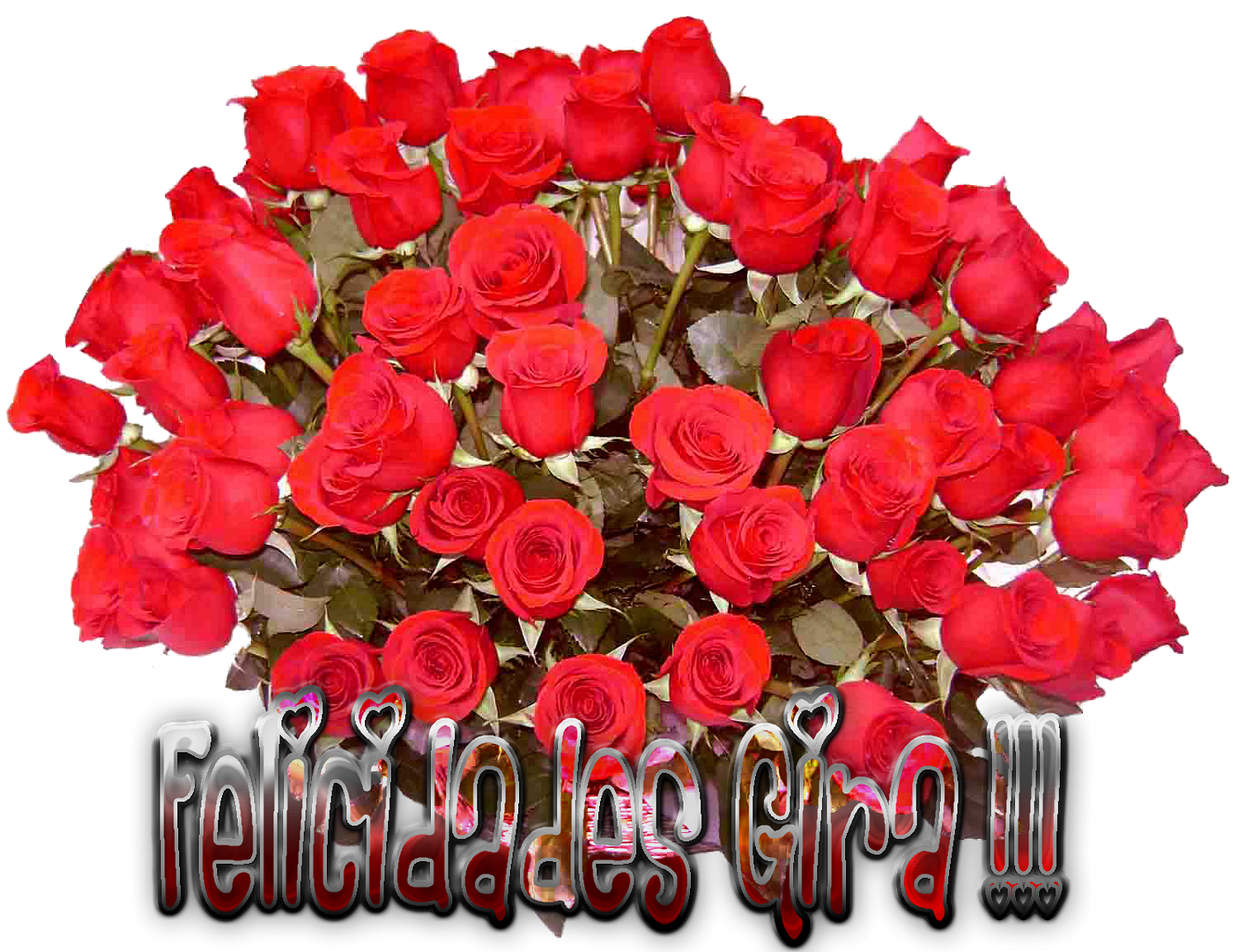 photo FLORESGIRA_zps79d5cd2a.png