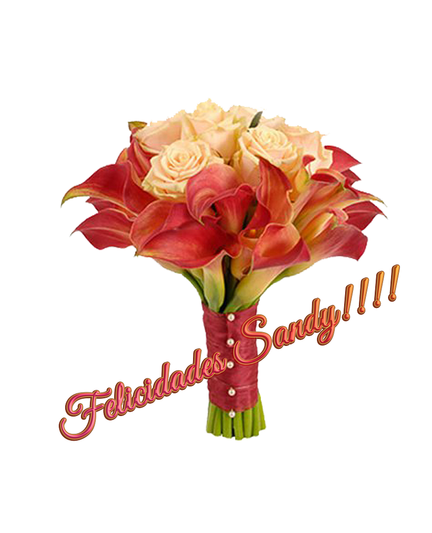  photo FLORESSANDY_zps5a538384.png