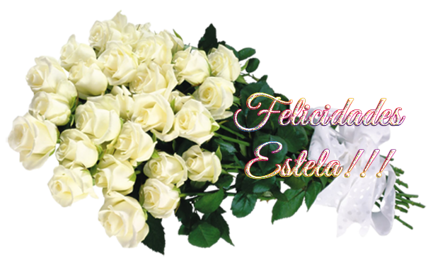  photo FLORESestela_zpsfafdddac.png