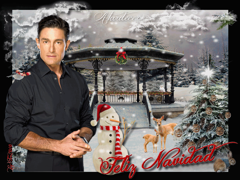 photo FelizNavidadClub-Atardecer_zpsycmflbva.gif
