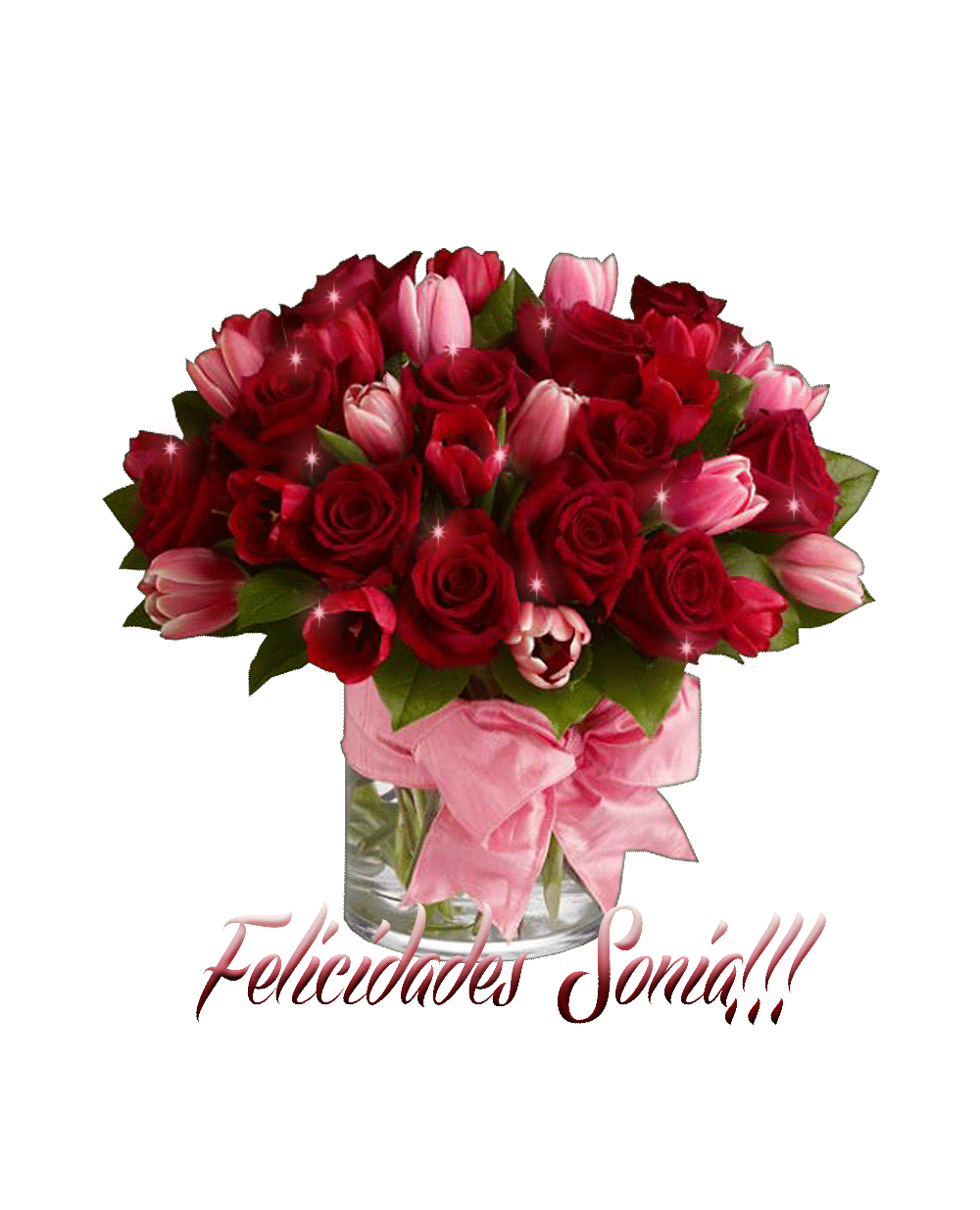 photo Flores-Gif-Sonia_zpsedbbd80f.gif