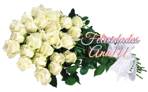  photo FloresAna2_zps04c22e4a.png