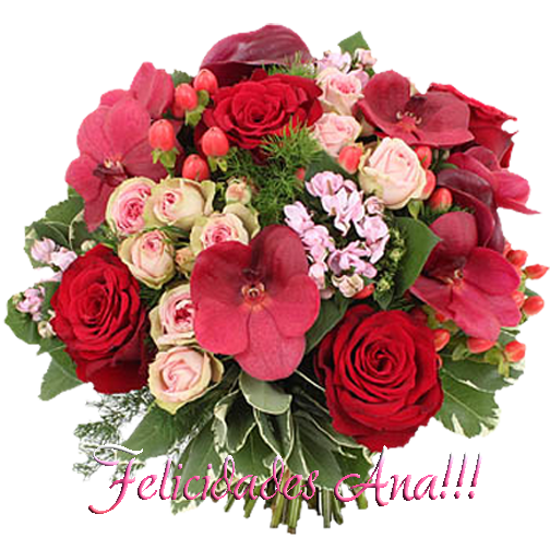  photo FloresAna_zpsac2ba28e.png