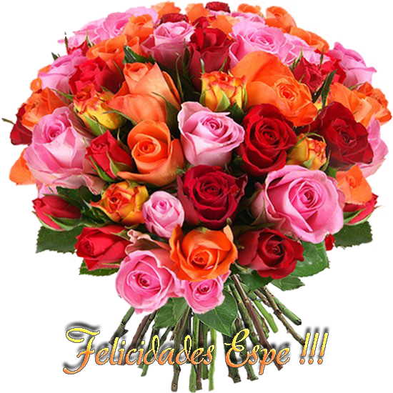 photo FloresEspe_zps0cd95791.png