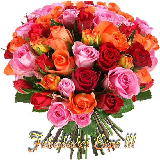 photo FloresEspe_zpsea4c0e18.png
