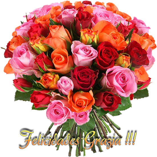 photo FloresGrazia_zpsf61617f6.png