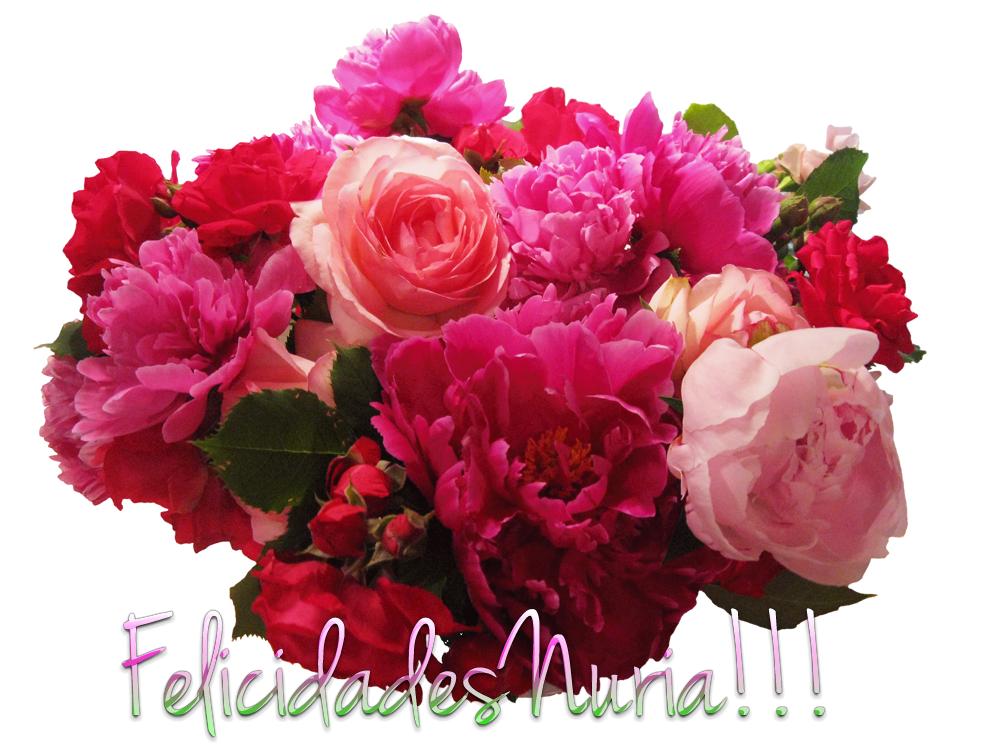  photo FloresNURIA_zps35cd6bde.png