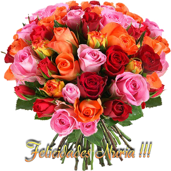 FloresNURIA_zpsae6d809a.png