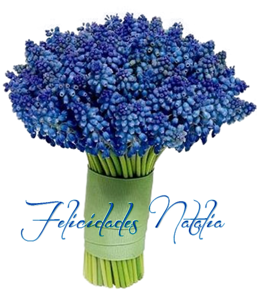 photo FloresNatalia2_zps01bc0d27.png
