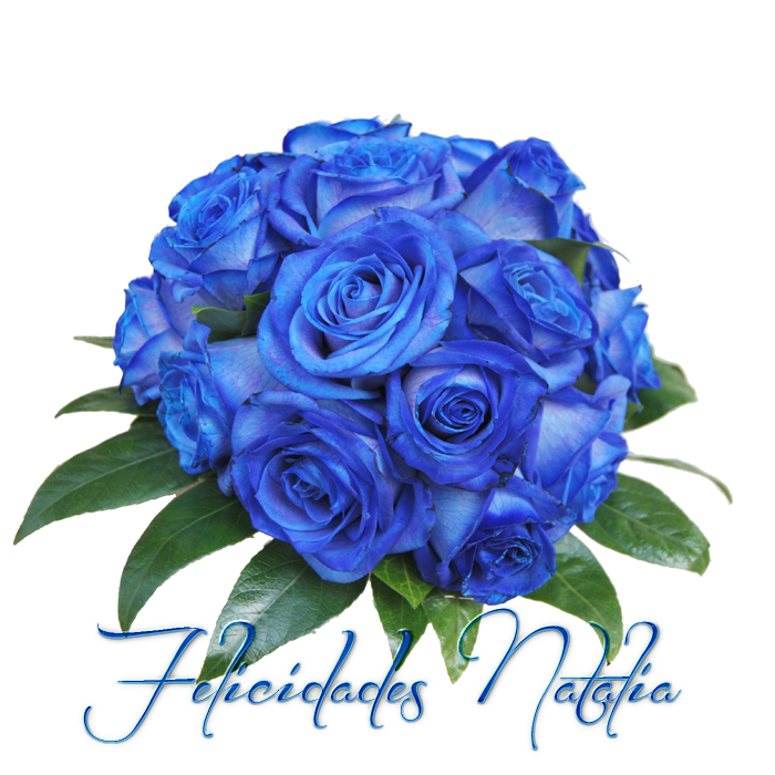 photo FloresNatalia_zpsd0bddaf4.png