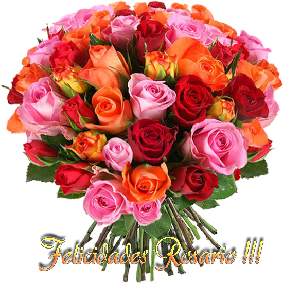  photo FloresRosario_zpsb668f077.png