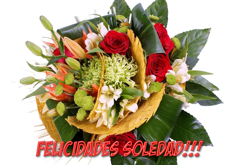 photo FloresSoledad_zpsc033d373.png